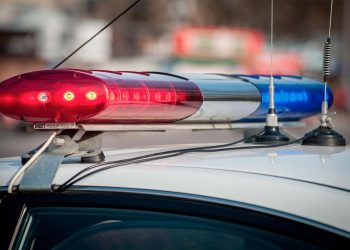 Срубившего 40 пихт водителя задержали инспекторы ГИБДД