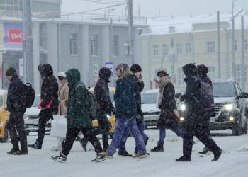 В каких случаях водитель не должен компенсировать ущерб при наезде на человека