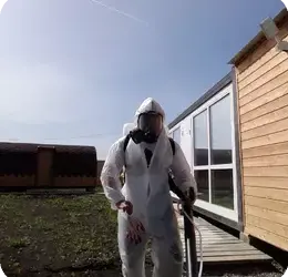 Уничтожение тараканов: почему стоит обратиться к профессионалам